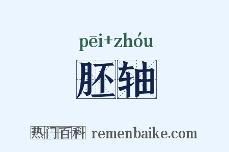胚轴是什么意思的图片